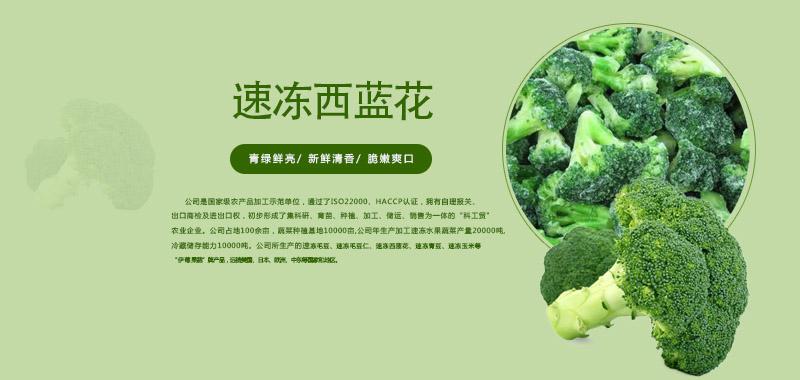 阳光农业
